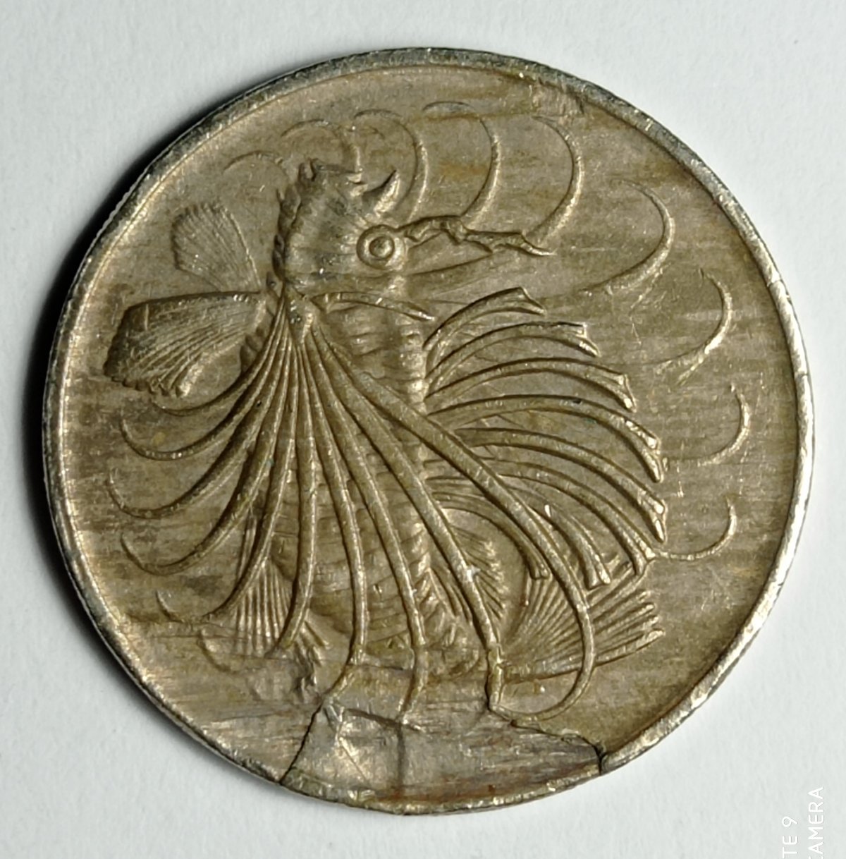 Die-Break-Error-On-1974-Singapore-50�-?